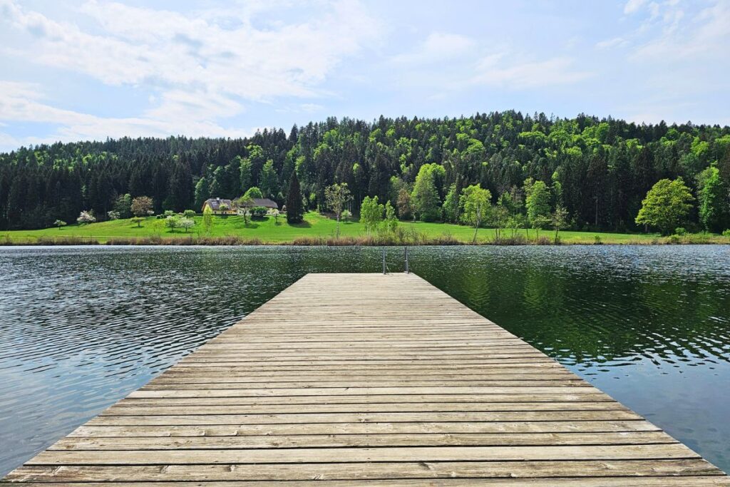Ein langer hölzerner Badesteg führt geradewegs auf das spiegelglatte, ruhige Wasser des Hafnersees in Kärnten, umgeben von dichten Wäldern.