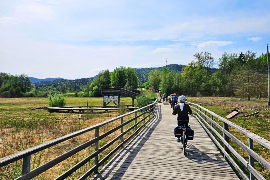 Blick aus der Perspektive eines Radfahrers auf einen langen, geschwungenen Holzsteg, der als Radweg durch eine Schilf- und Moorlandschaft führt.