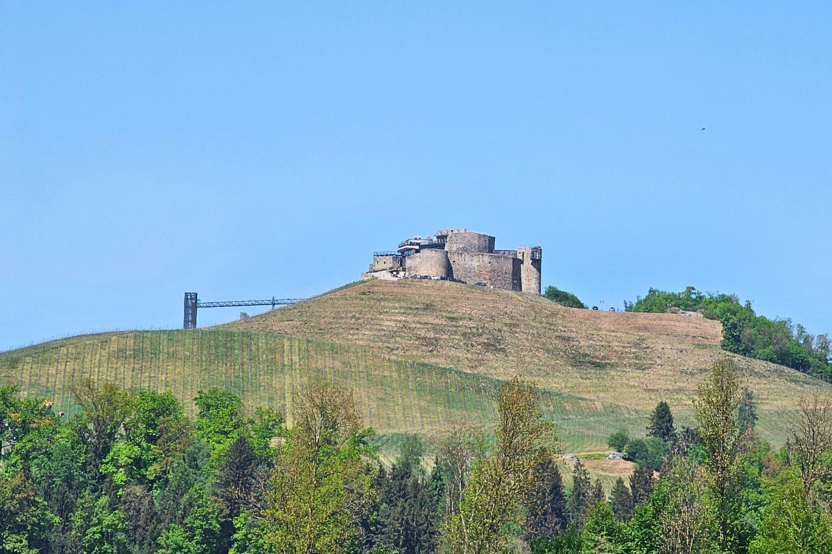 Nahaufnahme der historischen Burg Taggenbrunn auf einem grasbewachsenen Hügel mit angelegten Weinstöcken und einer modernen Aussichtsplattform vor blauem Himmel.