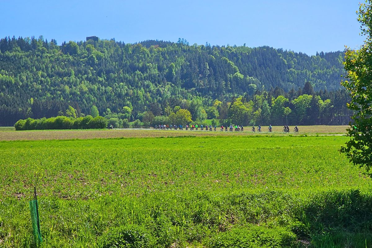 Eine lange Kolonne von Radfahrern fährt in der Ferne auf einem flachen Weg entlang eines riesigen, saftig grünen Feldes vor einem dicht bewaldeten Berghang.