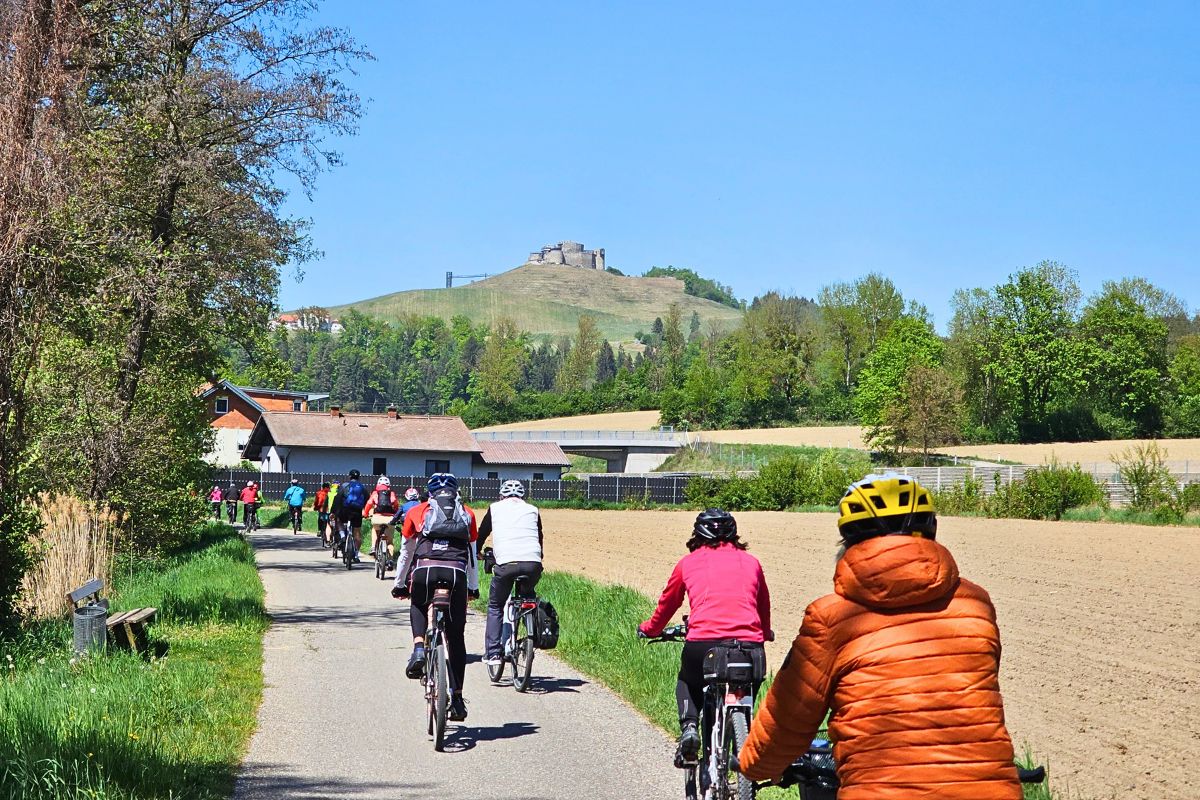 Eine große Gruppe von Radfahrern von hinten fotografiert auf einem flachen Asphaltweg, im Hintergrund thront die Burg Taggenbrunn auf einem Hügel unter klarem blauem Himmel.