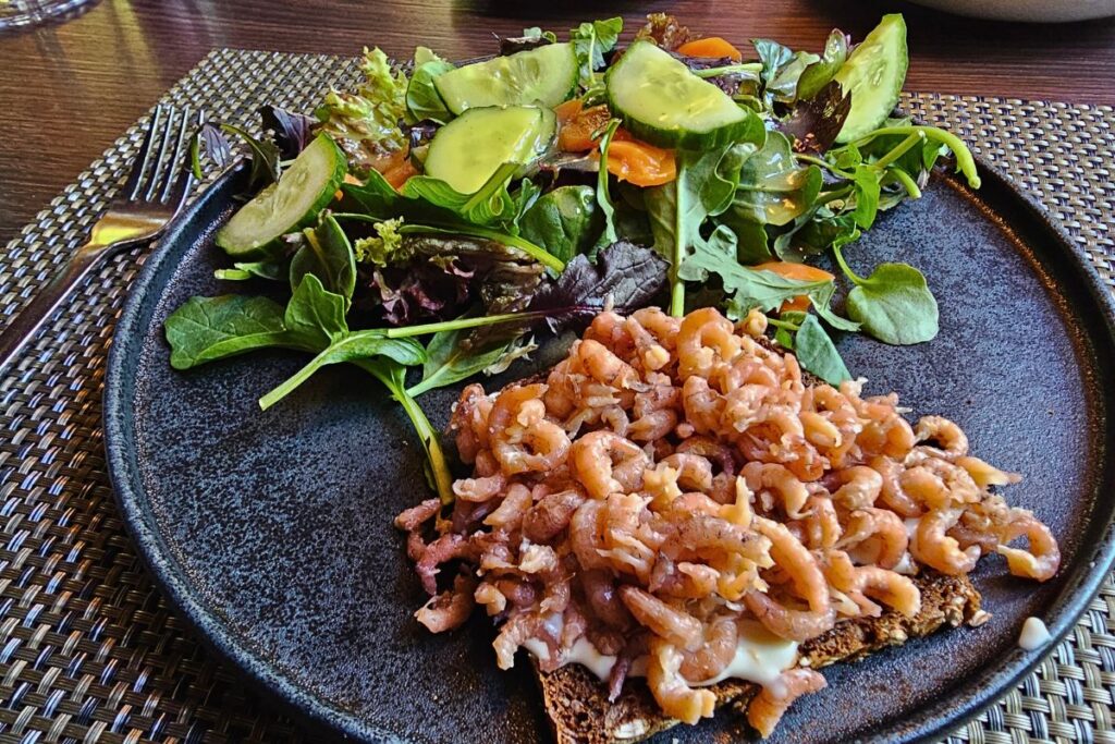 Fangfrische Nordseekrabben üppig angerichtet auf einem Krabbenbrot mit Schwarzbrot, dazu ein frischer Beilagensalat mit Gurkenscheiben auf einem dunklen Teller.