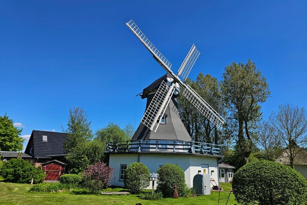 Eine malerische historische Windmühle mit weißen Flügeln auf einer grünen Wiese unter strahlend blauem Himmel in Dithmarschen.
