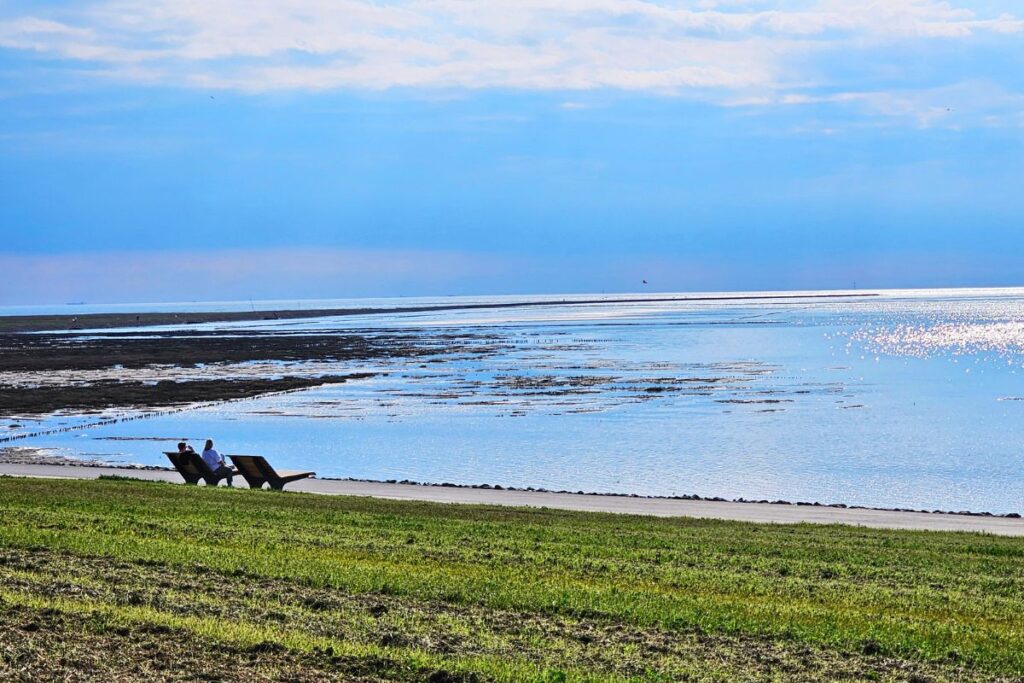 Menschen sitzen auf hölzernen Liegebänken am grünen Deich in Friedrichskoog-Spitze und blicken auf das glitzernde Wattenmeer.